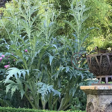 Bed & Breakfast Cambette Bayeux