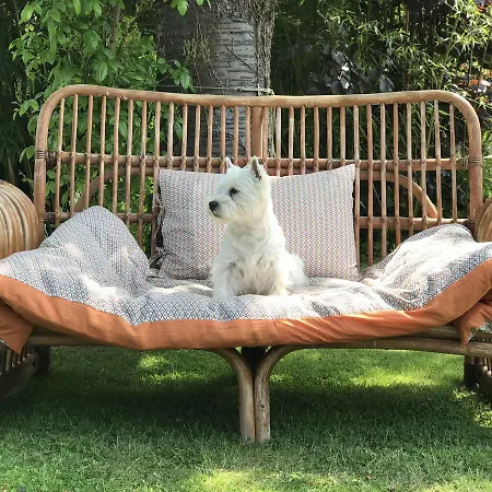Bed & Breakfast Cambette